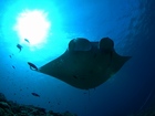 120120505aow-.jpg