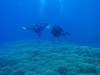 20100103rP1030054.jpg