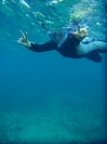 20110526owP5250032.jpg