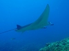 20110724fP7220019.jpg