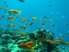 20110724fP7240010.jpg