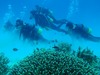 20110906pdpP9060048.jpg