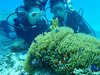 20110906pdpP9060049.jpg