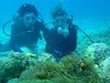 20110906pdpP9060053.jpg