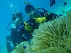 20110906pmeP9060024.jpg