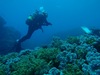 20111209-6.jpg