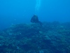20111210-2.jpg