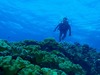 20111217-3.jpg