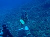 20111217-4.jpg