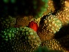 20111217-5.jpg