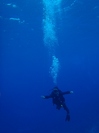 20120121-4.jpg