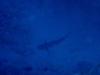 20120125-2.jpg