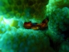 20120125-3.jpg