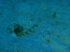 20120125-4.jpg
