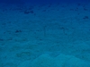 20120125-5.jpg