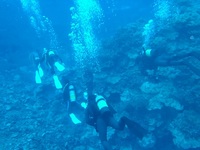 20120204-3.jpg