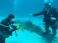 20120204-4.jpg