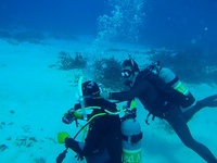 20120204-5.jpg
