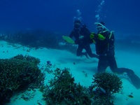 20120204-6.jpg