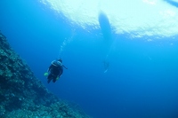 20120214-4.jpg