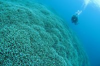 20120214-7.jpg