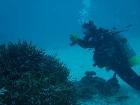 20120228SP-2.jpg