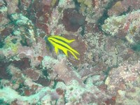20120228SP-4.jpg