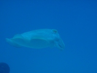 20120228SP-5.jpg