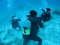 20120312-IMG_1787.jpg