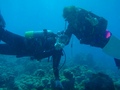 20120323P-3.jpg
