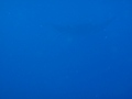 20120323P-6.jpg