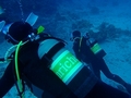 20120325-2.jpg