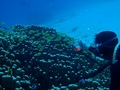 20120325-3.jpg