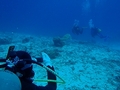 20120325-5.jpg