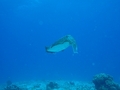 20120325-6.jpg