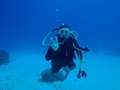 20120325-7.jpg