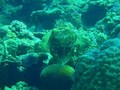 20120328AOW-2.jpg