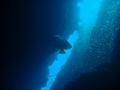 20120328AOW-3.jpg