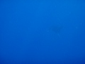 20120328AOW-4.jpg