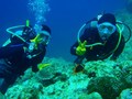 20120328AOW-5.jpg