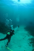 20120331-2.jpg