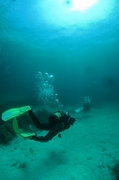 20120331-3.jpg