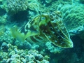 20120331-4.jpg