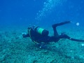 20120410-3.jpg