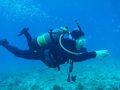 20120410-4.jpg