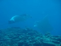 20120413P-3.jpg