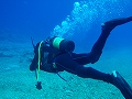 20120415-2.jpg
