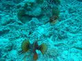 20120417DM-5.jpg