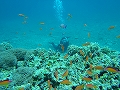 20120418-3.jpg