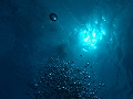 20120418-4.jpg